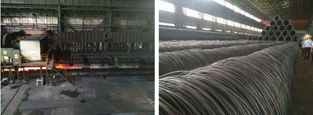 yl7703永利官网(集团)有限公司